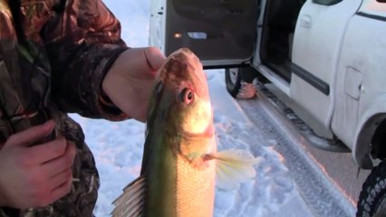 MONSTER WALLEYE Ice Fishing