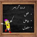 Aao Urdu seekhein, Learn Urdu for class 2 Kids and beginners, L 12, Urdu grammar،  اردو گرامر