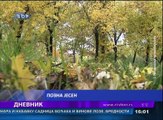 Dnevnik, 17. novembar 2017 (RTV Bor)