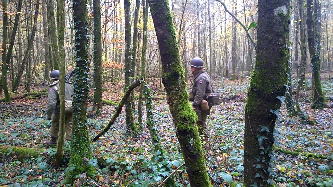 Des reconstituteurs français, belges et anglais sur les traces du 71e régiment de la 44e div US dans le bois du Remabois