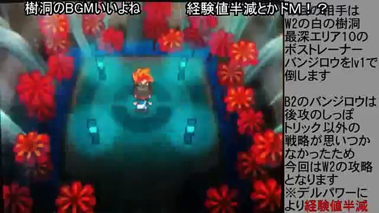 (コメ付き)ポケモンBW2　白の樹洞ボスバンジロウをLv1で倒すチャレンジモード