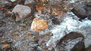 Bruit de l’eau et de rivière : Bruit doux de l’eau qui ruisselle – Relaxation naturelle en pleine nature - Vacances Vlog