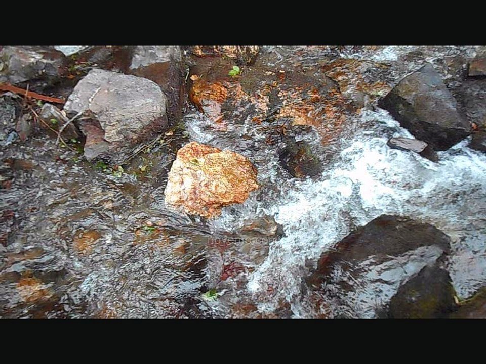 Bruit de l’eau et de rivière : Bruit doux de l’eau qui ruisselle – Relaxation naturelle en pleine nature - Vacances Vlog