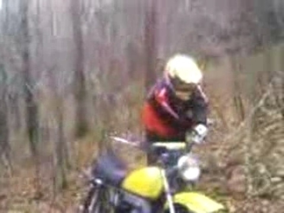 Video petit poulet