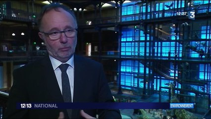 Biodiversité : des mammifères en voie d'extinction sur le territoire français