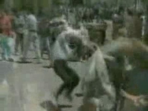 Palestine; l'horreur au quotidien! ANACHEED