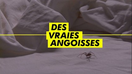 Fear Factor S.1 "Le nouveau show MTV"