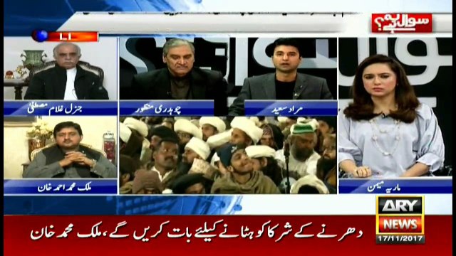 Constitution allows peaceful protests: PTI's Murad Saeed