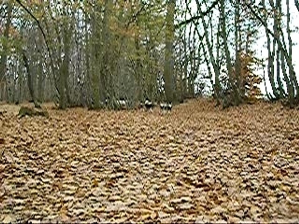Arrivée 12  _ 18 nov 07