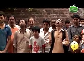 too much fuuny video of a lady kiking out a man