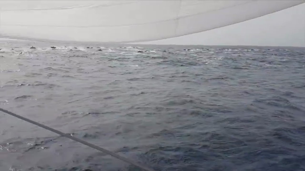 TJV2017 - Vivo A Beira - Yoann Richomme et Pierre Lacaze - 17/11/2017
