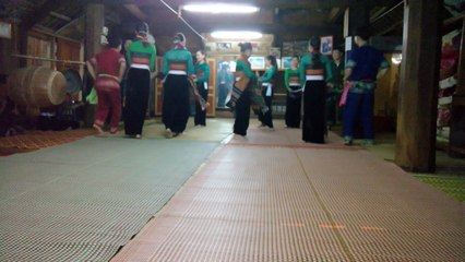 Vietnam : Danse traditionnelle #1