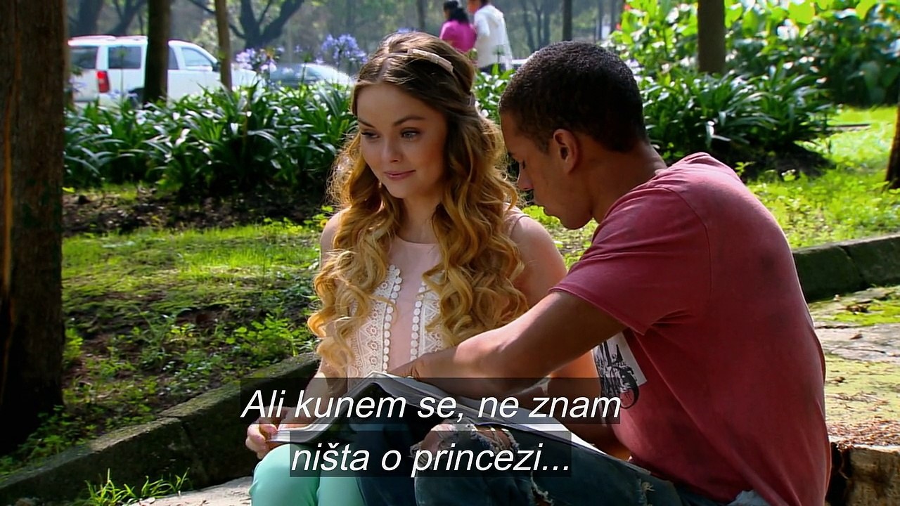 DIVLJA MACKA - 43.