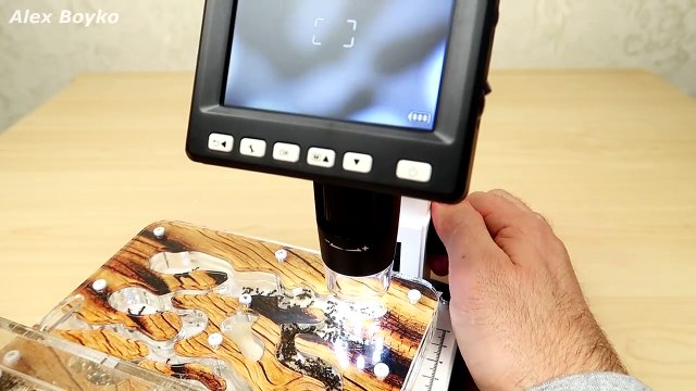 Мои муравьи под Микроскопом! Теперь мне ЭТО приснится! Микроскоп из Китая, Посылка, Распаковка