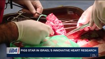 THE RUNDOWN | Pigs star in Israel's innovative heart research | Friday, November 17th 2017