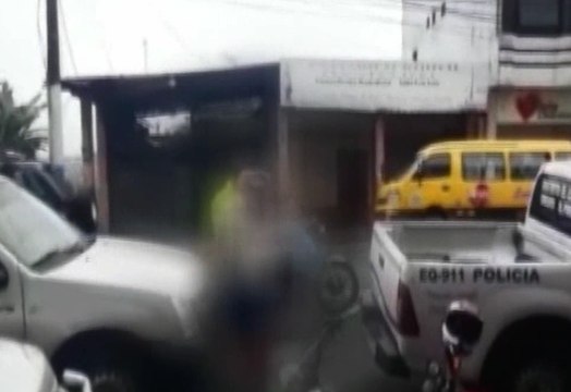 Seis sacapintas fueron capturados en la provincia de Manabí