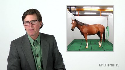 Horse Stall Mats from Greatmats