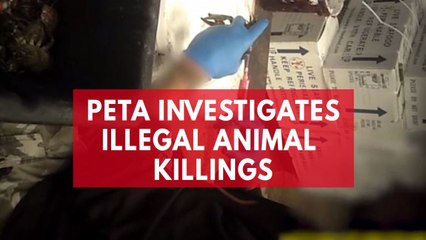 PETA Investigates Bio Corporation's Illegal Animal Killings