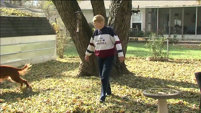 Woman Fears Dog Was Poisoned After Its Mysterious Death