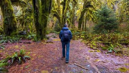 10 حيوانات غريبة قام البشر  بتحويلها| سبحان الله