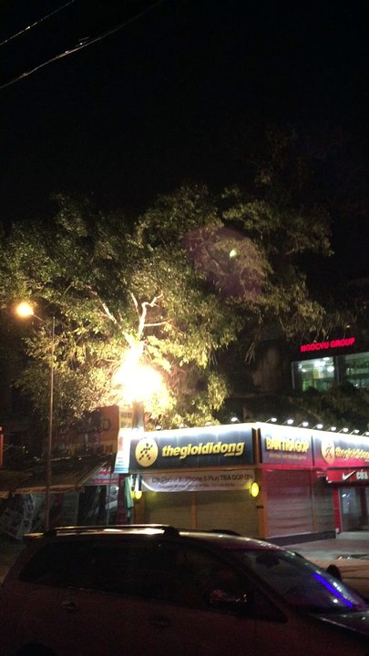 Gigantic Tree Crashes onto Buildings