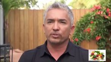 cesar-millan-pack-leader-with-2-girls