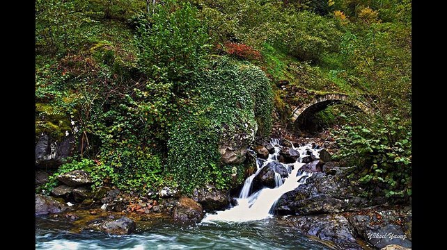 Arsin İşhan Köyü
