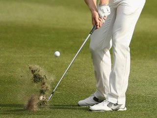 حشرة افسدت مزاج لاعب الغولف