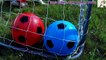 Learn Colors with Balls for Children, Toddlers and Babies _ Colours with Soccer Balls-U8WmqByaxwY