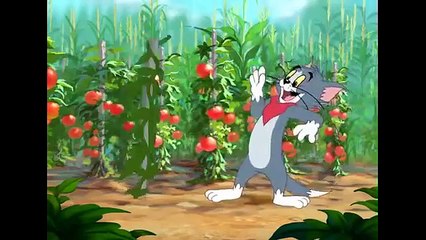 Tom And Jerry English Episodes - Summer Squashing  - Cartoons For Kids Tv-_WUu9X0pysk