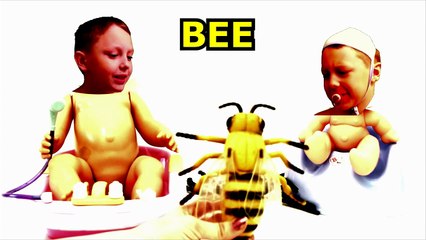 Bad Baby Crying Learn Colors with Pacifier for Kids Finger Family Song Nursery Rhymes for Toddlers-hZO5_IgSKFQ