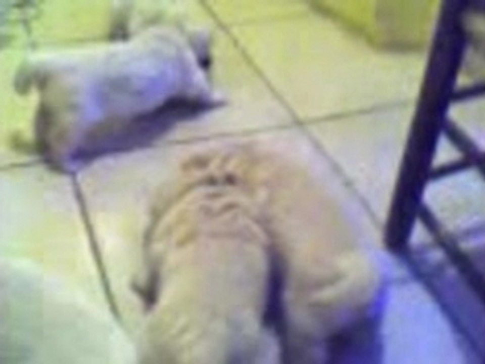 tous en ronde pour....le repas!!