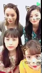 Tokyo Alice (東京アリス) Line Live 170825