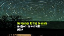 The Leonids Meteor Shower and More That Will Light Up Night Skies