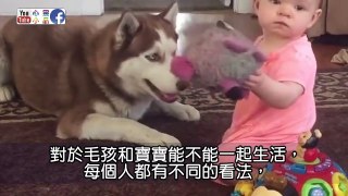 狗狗與嬰兒玩到一半突然面露猙獰的緊盯小主人..下一秒的畫面令人驚呆了!【心靈健康娛樂新聞】