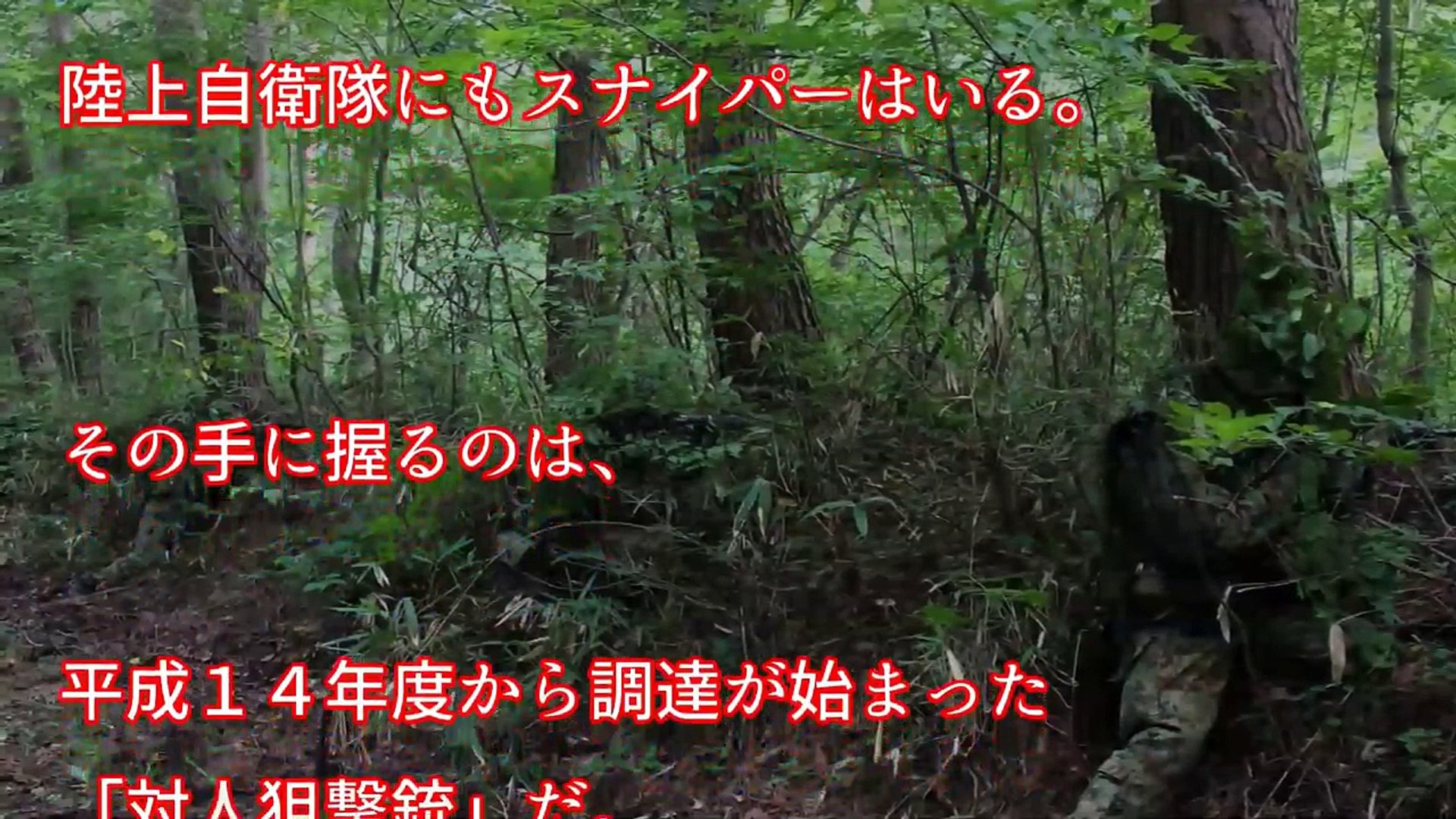 自衛隊のスナイパーの実力に世界が驚く 日本人がすごい 陸上自衛隊が最強すぎる理由 Video Dailymotion