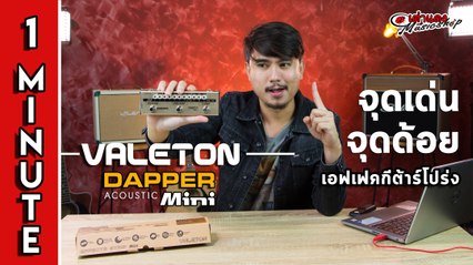 สรุป 1 นาที จุดเด่น จุดด้อย l เอฟเฟค Valeton รุ่นDapper Acoustic Mini เอฟเฟคกีต้าร์โปร่งl เต่าแดง