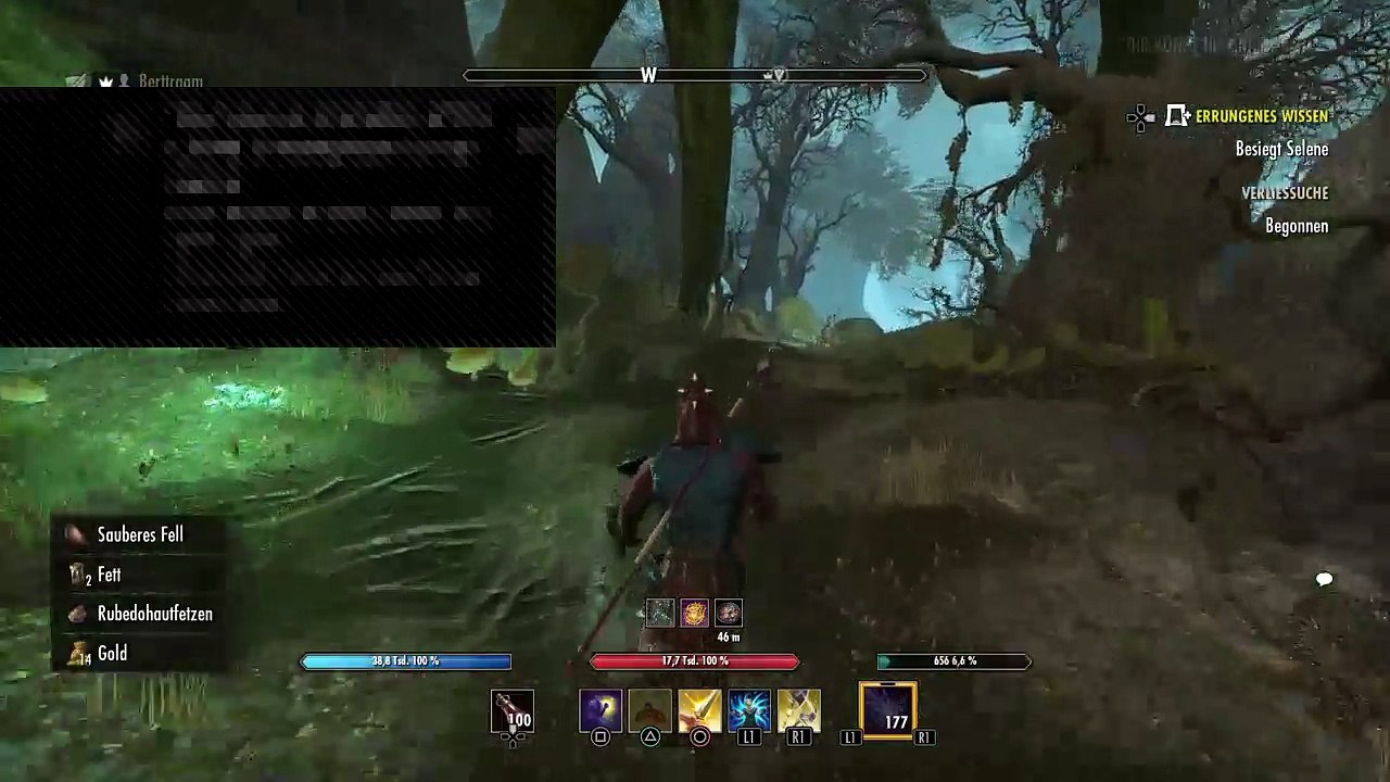 DonAleszandro The Elder Scrolls «-Durch Selenes Netz mit Don John-» (332)