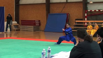 Damien Todeschini en Tai Chi moderne à mains nues