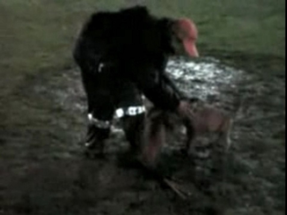 Goja-Erstes Training