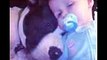 Pit Bull Dogs And Kids Why Growing Up With A Pit Bull Is The BEST  The Dodo