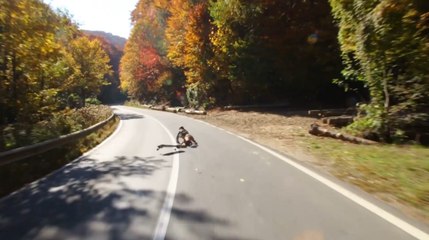 Guy Flies Off Skateboard And Into Log