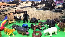 SAFARI WILD ANIMALS 3D PUZZLE TOYS for Kids - Learn Animal Names