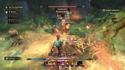 DonAleszandro The Elder Scrolls «-Durch Selenes Netz mit Knight Blade-» (335)