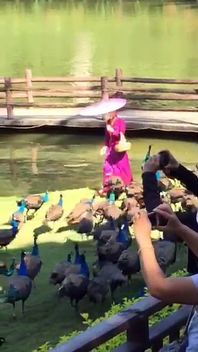 Aja tujh ko pukare mere geet