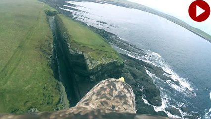 Gerçek anlamıyla 'kuş bakışı' deneyimi