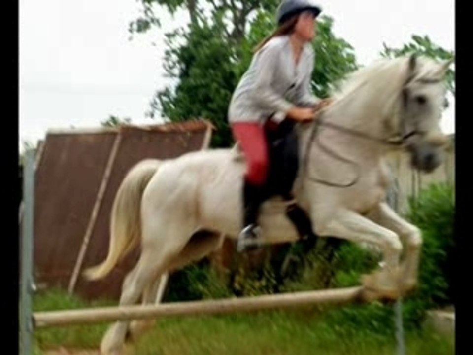 Sisco et moi_0001
