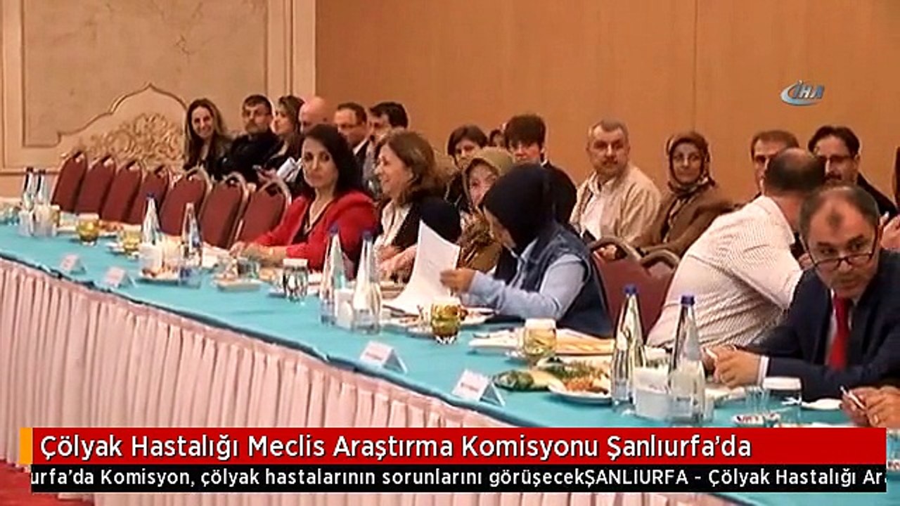 Çölyak Hastalığı Meclis Araştırma Komisyonu Şanlıurfa'da