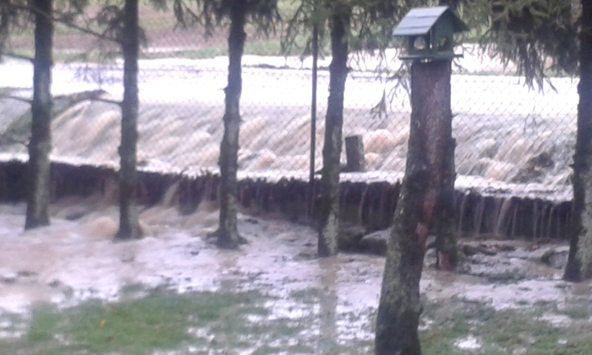 Une cascade dans le jardin