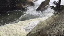 Une tempête de mousse en bord de mer... L'écume recouvre tout!